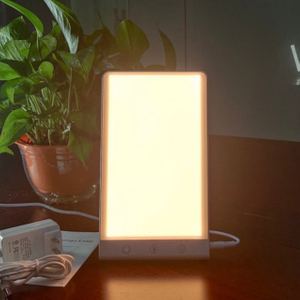 Modern Touch Adjustment Timing Dimming Temperature Bedroom Portable Simple Led Natural Light Desk Phototherapy Lamp